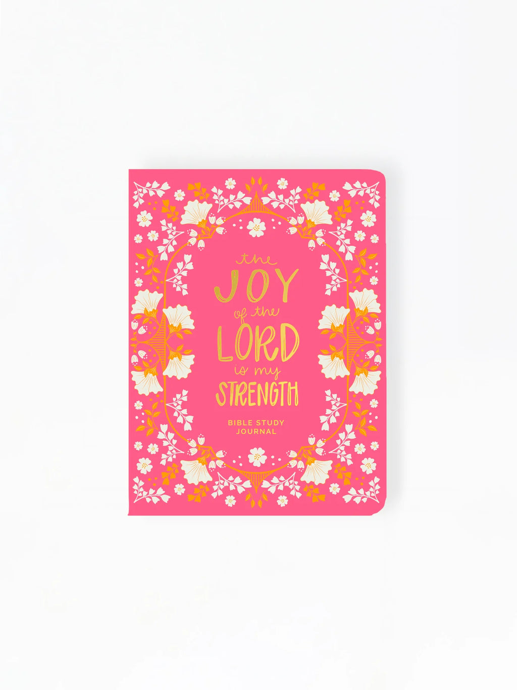 Bible Study Journal  Joy of the Lord