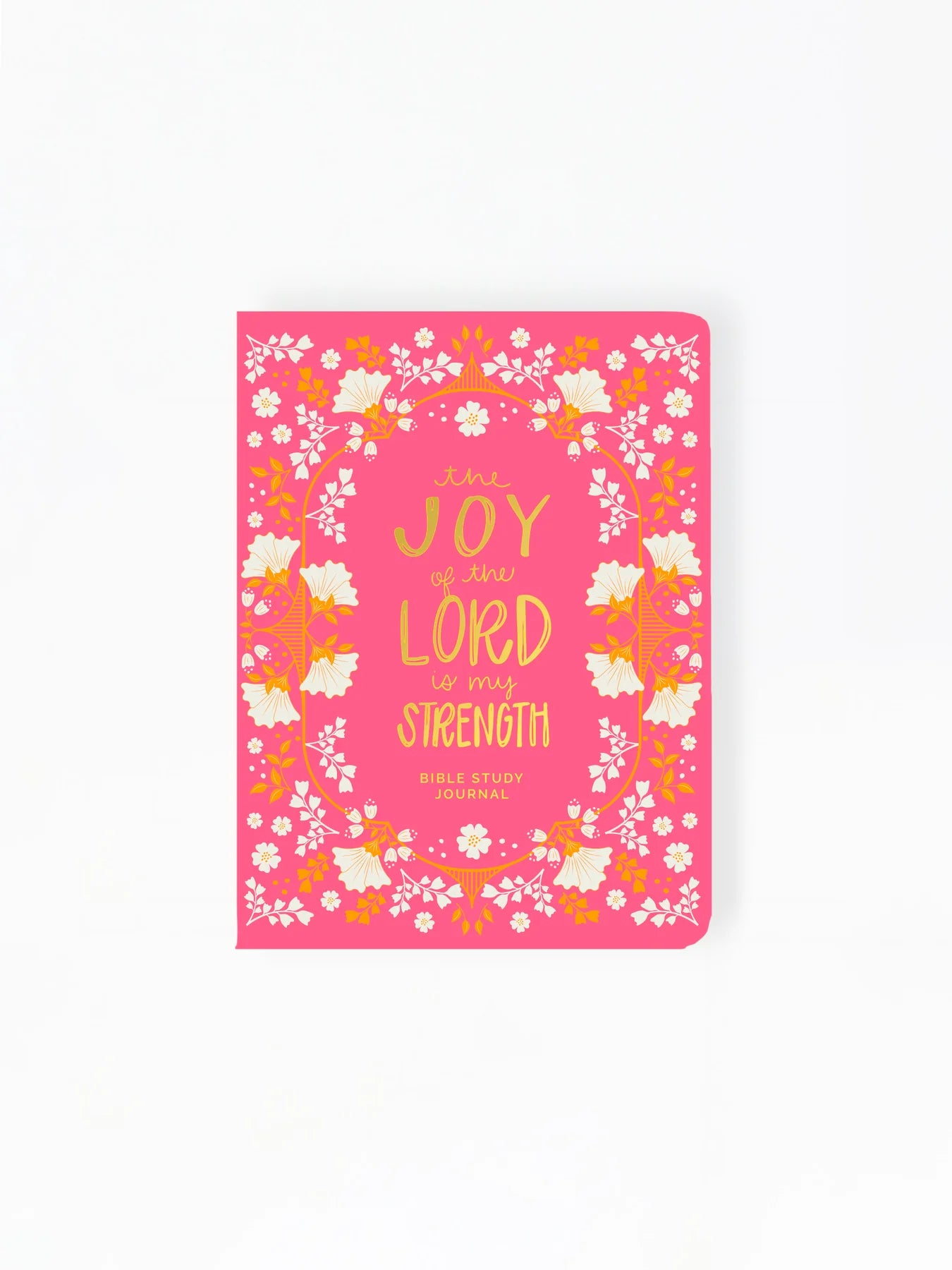 Bible Study Journal  Joy of the Lord